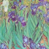 AGENDA 2025 VAN GOGH’S IRISES