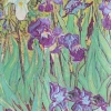 AGENDA 2025 VAN GOGH’S IRISES