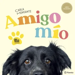 AMIGO MIO