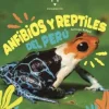 ANFIBIOS Y REPTILES DEL PERU