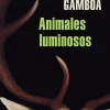 ANIMALES LUMINOSOS