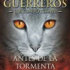 ANTES DE LA TORMENTA - LOS GATOS GUERREROS