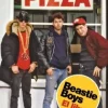 BEASTIE BOYS. EL LIBRO