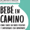 BEBE EN CAMINO