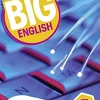 BIG ENGLISH (AE) 2ED. 5 WB