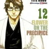 BLEACH N.12