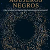 BREVE HISTORIA DE LOS AGUJEROS NEGROS