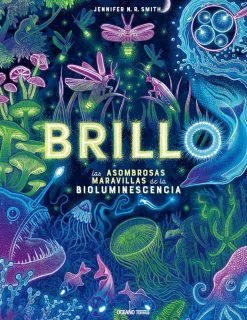 BRILLO