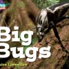 CAMBRIDGE READING ADVENTURES. BIG BUGS