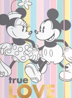 CARPETA DISNEY MINNIE MOUSE JUVENIL