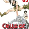 CELLS AT WORK N.5