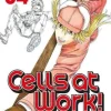 CELLS AT WORK N.4