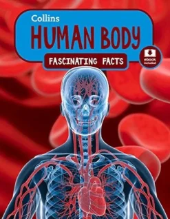 COLLINS FASCINATING FACTS: HUMAN BODY