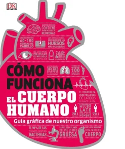 COMO FUNCIONA EL CUERPO HUMANO