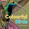 CRA- COLOURFUL BIRDS - PURPLE BAND