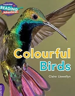 CRA- COLOURFUL BIRDS - PURPLE BAND