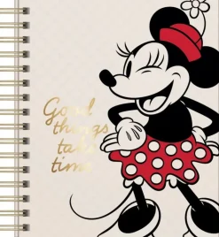 CUADERNO MEDIO OFICIO TAPA DURA CUADRICULADO 160 HOJAS  DISNEY
