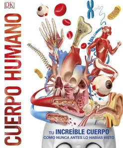 CUERPO HUMANO