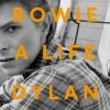 DAVID BOWIE THE LIFE
