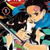 DEMON SLAYER: KIMETSU NO YAIBA, VOL. 1