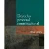 DERECHO PROCESAL CONSTITUCIONAL