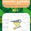 DIBUJAR ANIMALES Y PLANTAS EN 10 PASOS