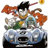 DRAGON BALL N.8