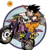 DRAGON BALL N.14