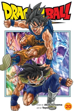 DRAGON BALL SUPER, VOL. 20
