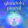 EL PODER DE SANACIÓN DE LA GLÁNDULA PINEAL