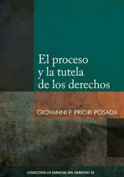 EL PROCESO Y TUTELA DE LOS DERECHOS