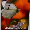 ELEVATE ELEMENTARY SCIENCE 2019 STUDENT EDITION 1-YEAR + DIGITAL COURSEWARE 1-YEAR LICENSE GRADE 2