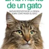 EN LA MENTE DE UN GATO BOLS.