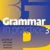 GRAMMAR IN PRACTICE 3