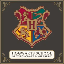 HARRY POTTER: CONVERSATION CARDS: 125 MAGICAL MUSINGS