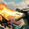 HARRY POTTER Y EL CALIZ DE FUEGO (4)
