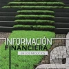 INFORMACION FINANCIERA PARA LOS NEGOCIOS