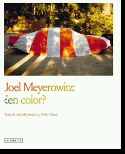 JOEL MEYEROWITZ: ¿EN COLOR?