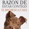 LA RAZON DE ESTAR CONTIGO: EL REGRESO A CASA