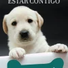 LA RAZON DE ESTAR CONTIGO. HISTORIA DE BAILEY