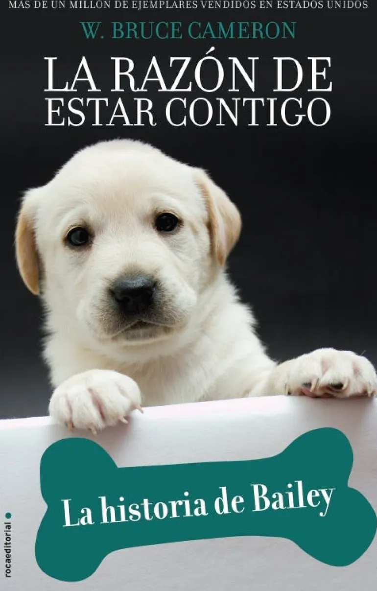 LA RAZON DE ESTAR CONTIGO. HISTORIA DE BAILEY
