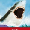 LADYBIRD READERS LEVEL 3 - SHARKS ACTIVITY BOOK