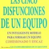 LAS CINCO DISFUNCIONES DE UN EQUIPO