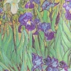 LIBRETA DELGADA TAPA DURA VAN GOGH´S IRISES