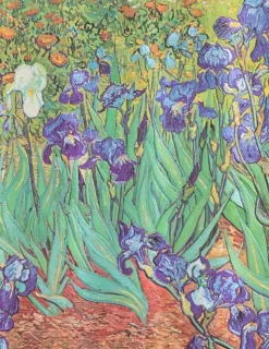 LIBRETA TAPA DURA GRANDE  VAN GOGH’S IRISES