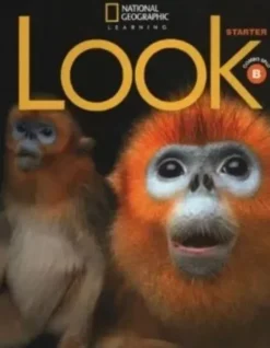 LOOK (AE) COMBO SPLIT STARTER B + SPARK