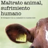 MALTRATO ANIMAL, SUFRIMIENTO HUMANO