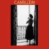 METODO CATALANOTTI, EL (MONTALBANO 31)