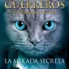 MIRADA SECRETA , LA ( EL PODER DE LOS TRES I)