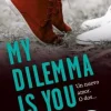 MY DILEMMA IS YOU. UN NUEVO AMOR. O DOS.